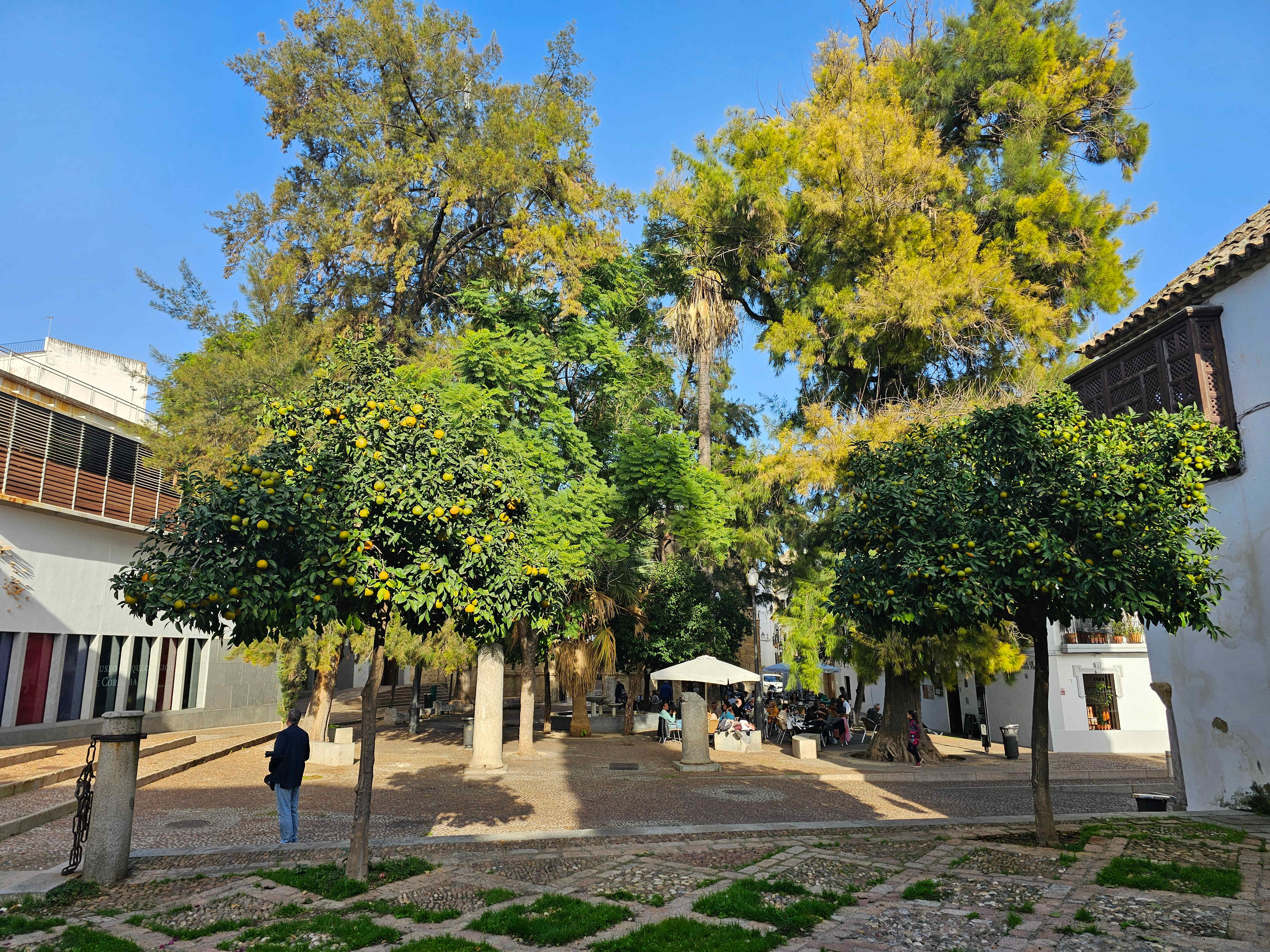 S_Spain